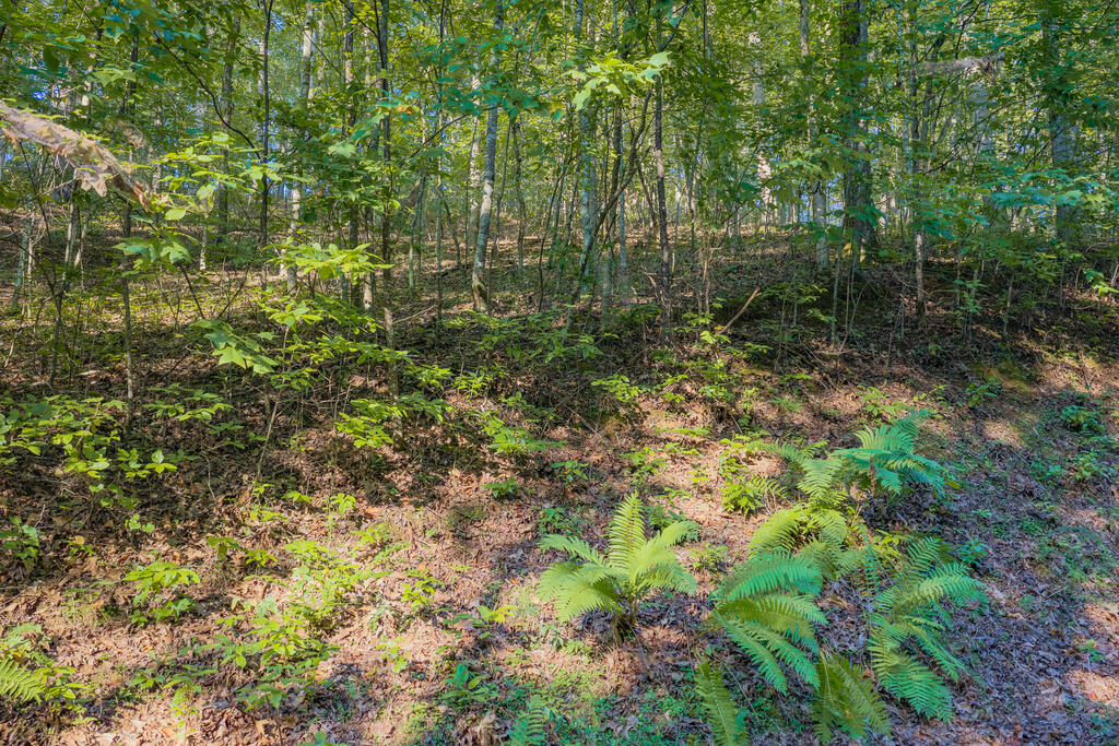 Lot 1905 Finale Street