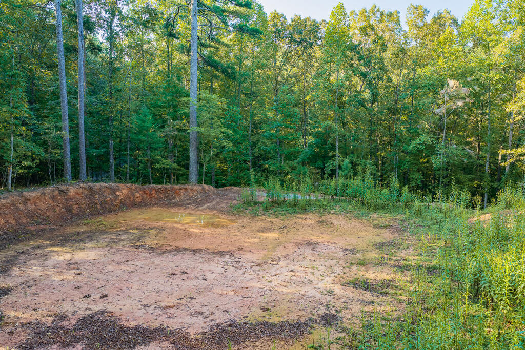Lot 1905 Finale Street
