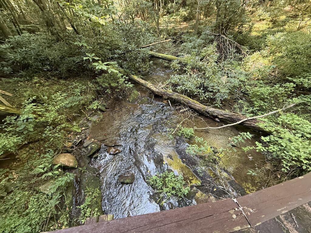3 & 4 Jacks River Road