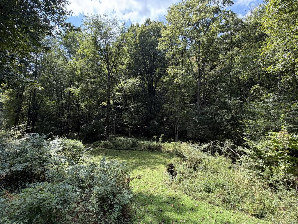 6.13 AC Lucius Road