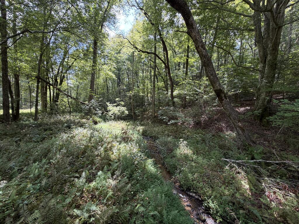 6.13 AC Lucius Road