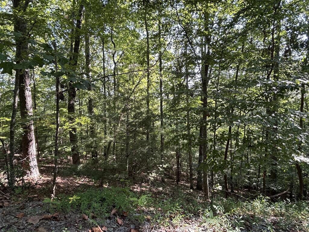 Lot 341 Catawba Circle