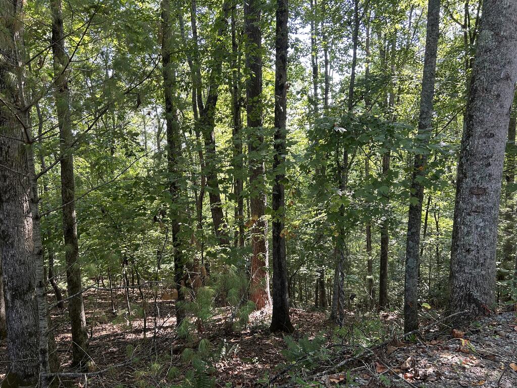 Lot 341 Catawba Circle