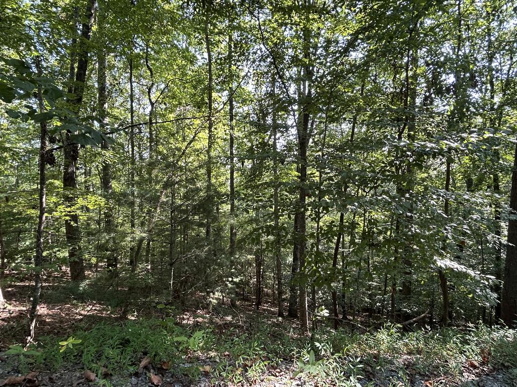 Lot 341 Catawba Circle