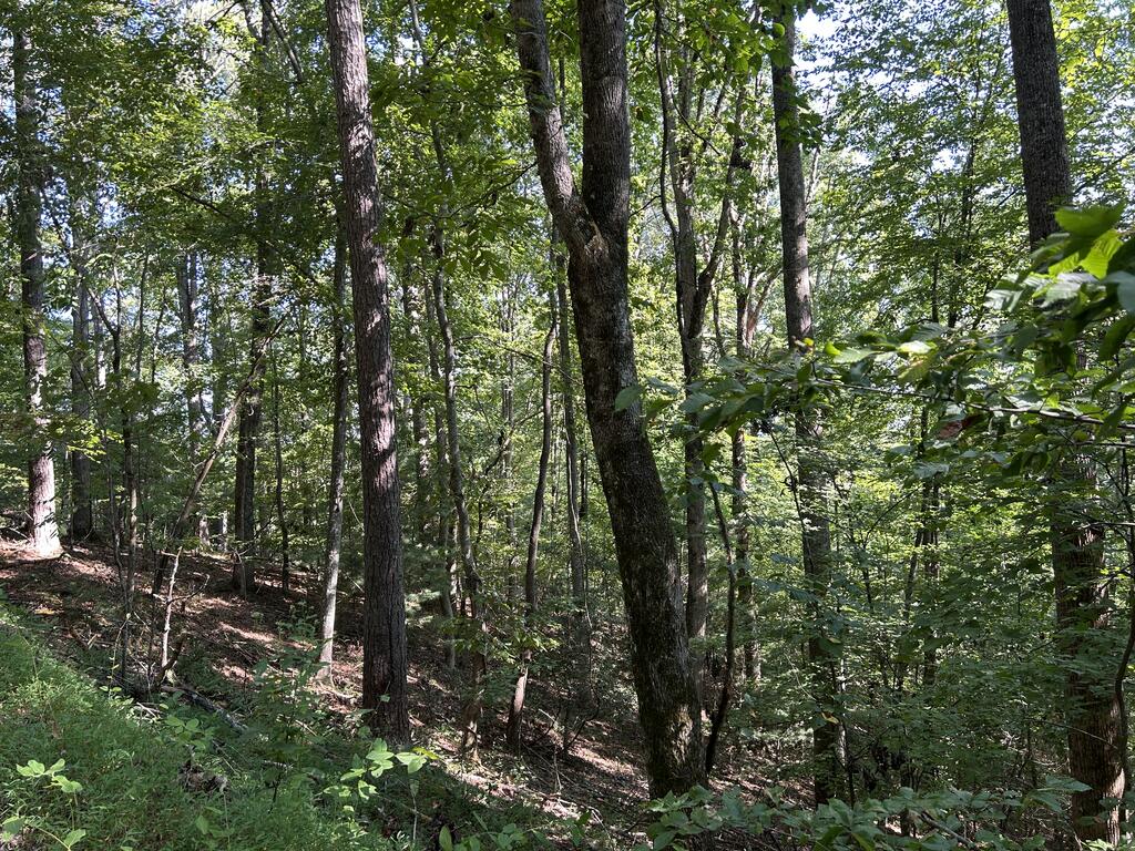 Lot 341 Catawba Circle