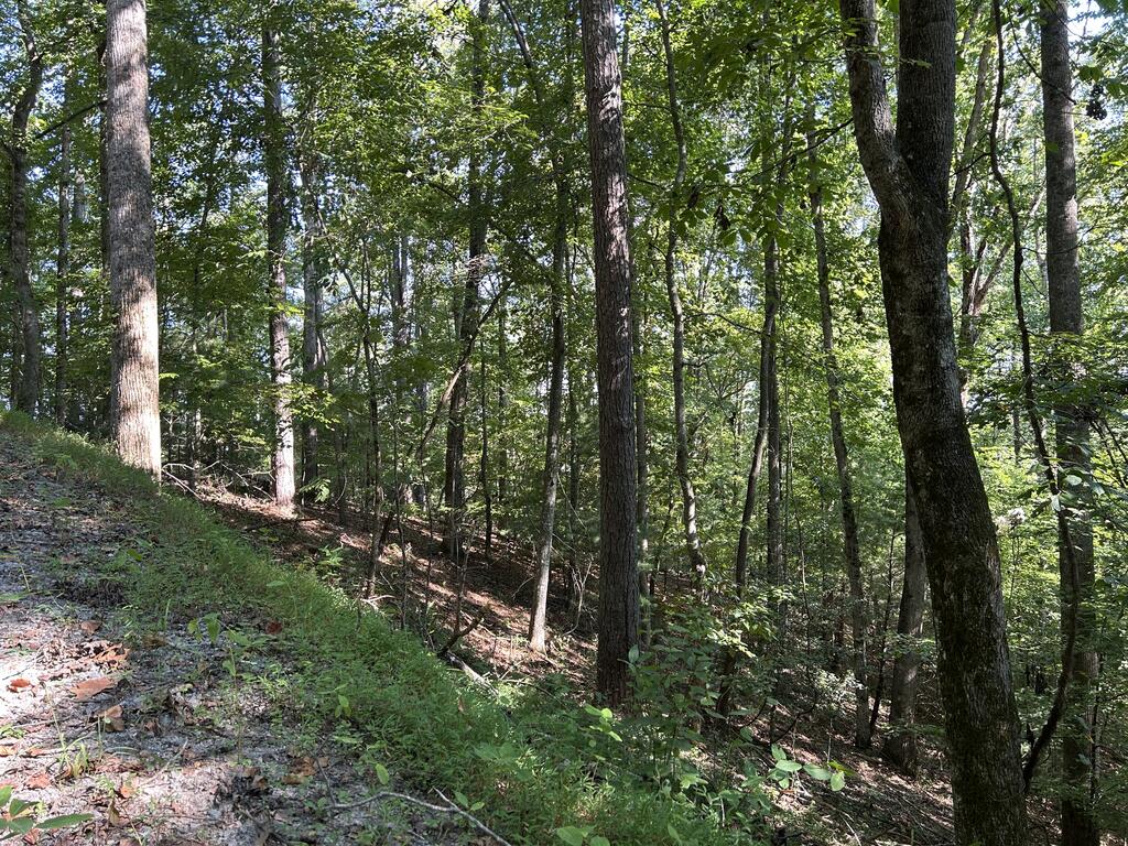 Lot 341 Catawba Circle