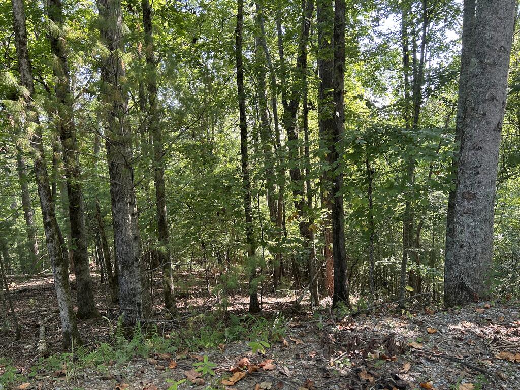 Lot 341 Catawba Circle