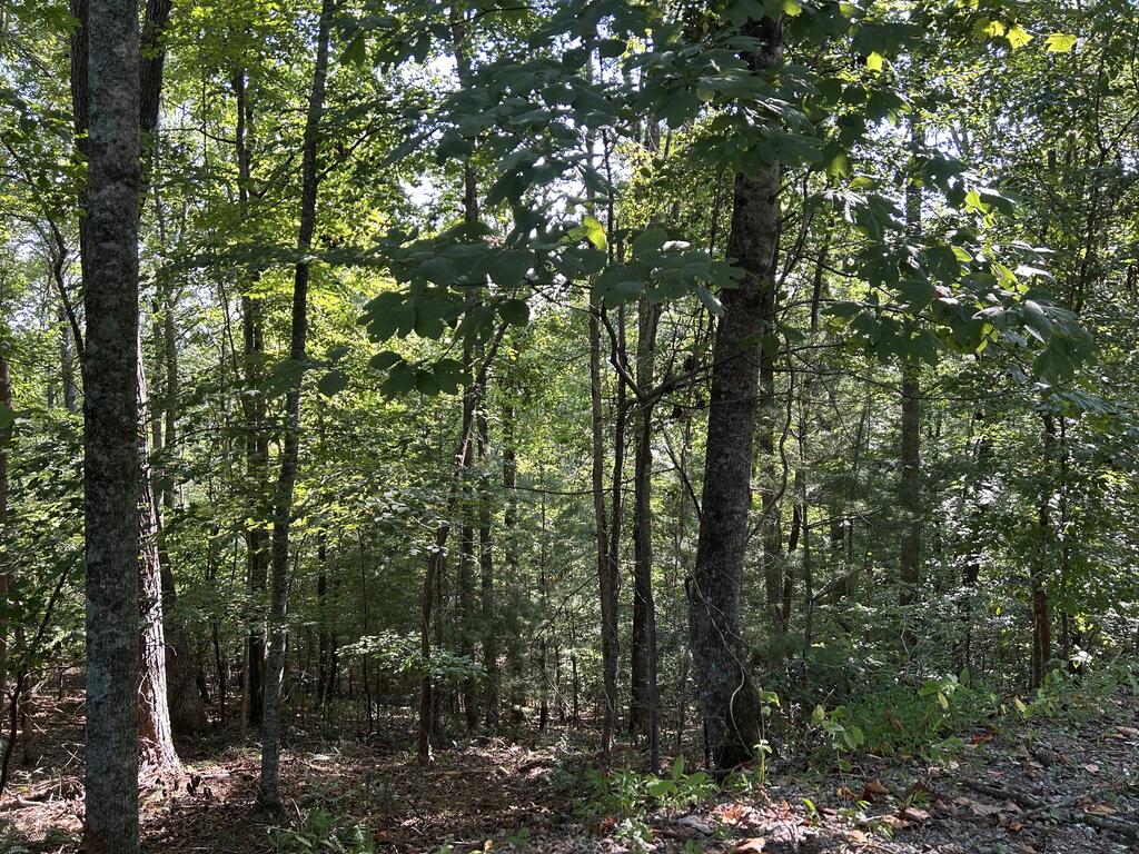 Lot 341 Catawba Circle