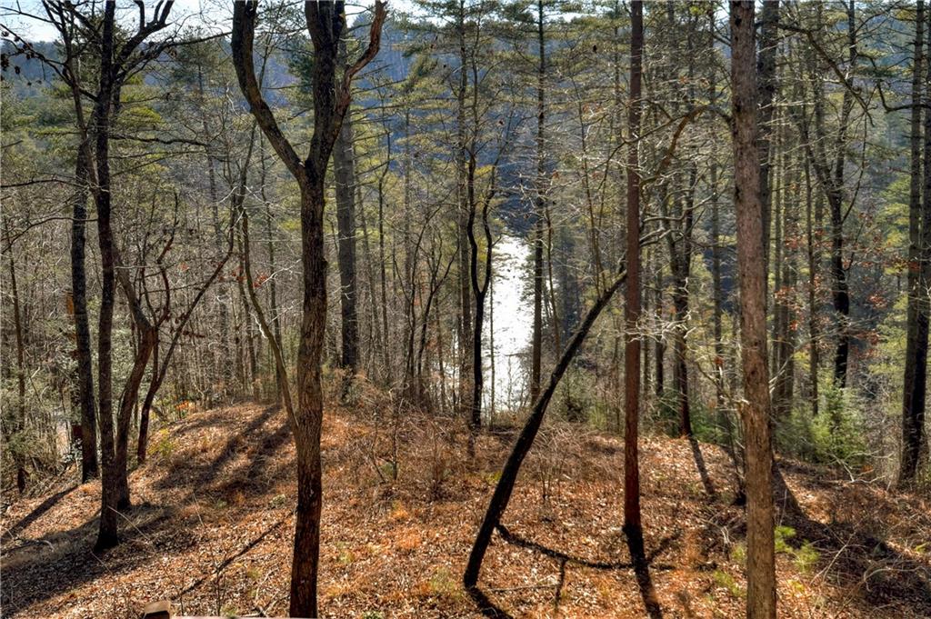 1312 Hicks Ford Road