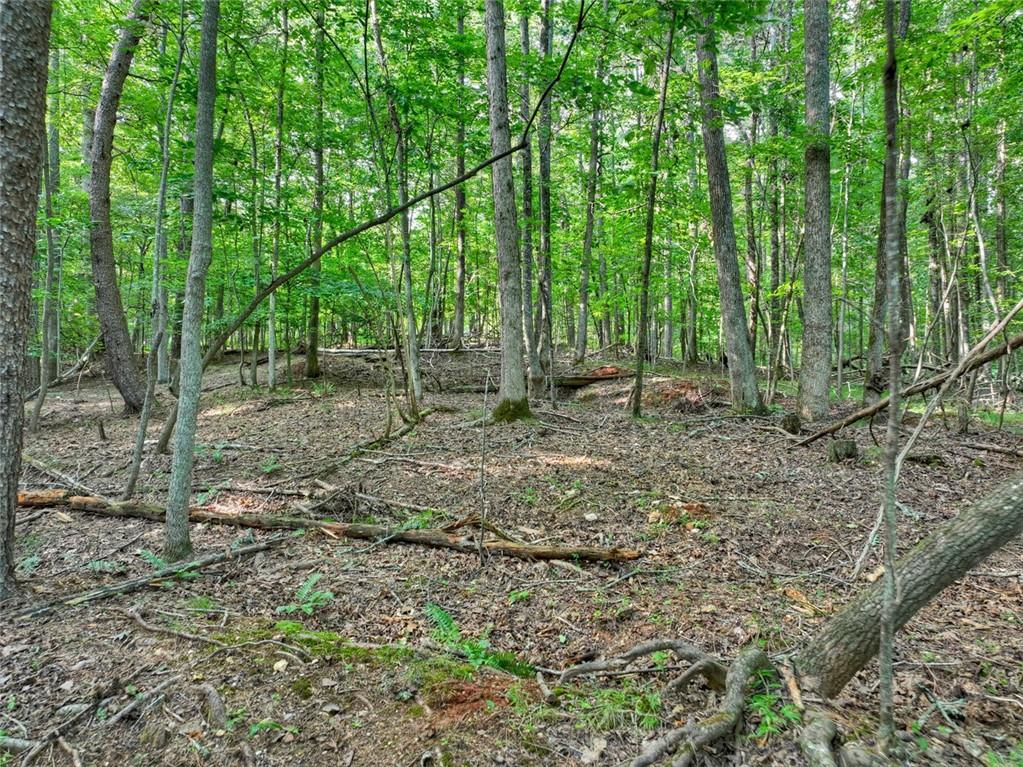 267 Sharp Mountain Parkway