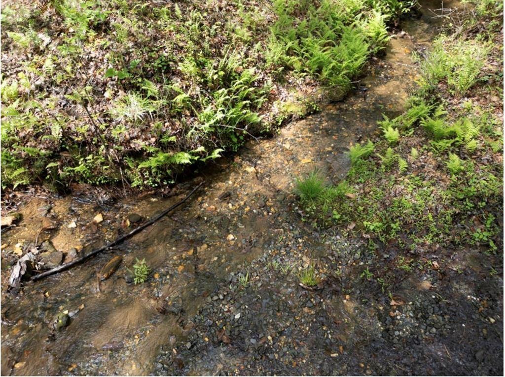 0 Shallow Water Way