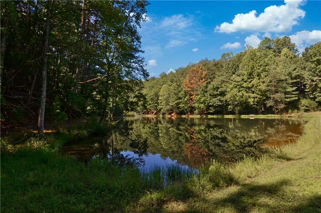 257 Pine Ridge Road