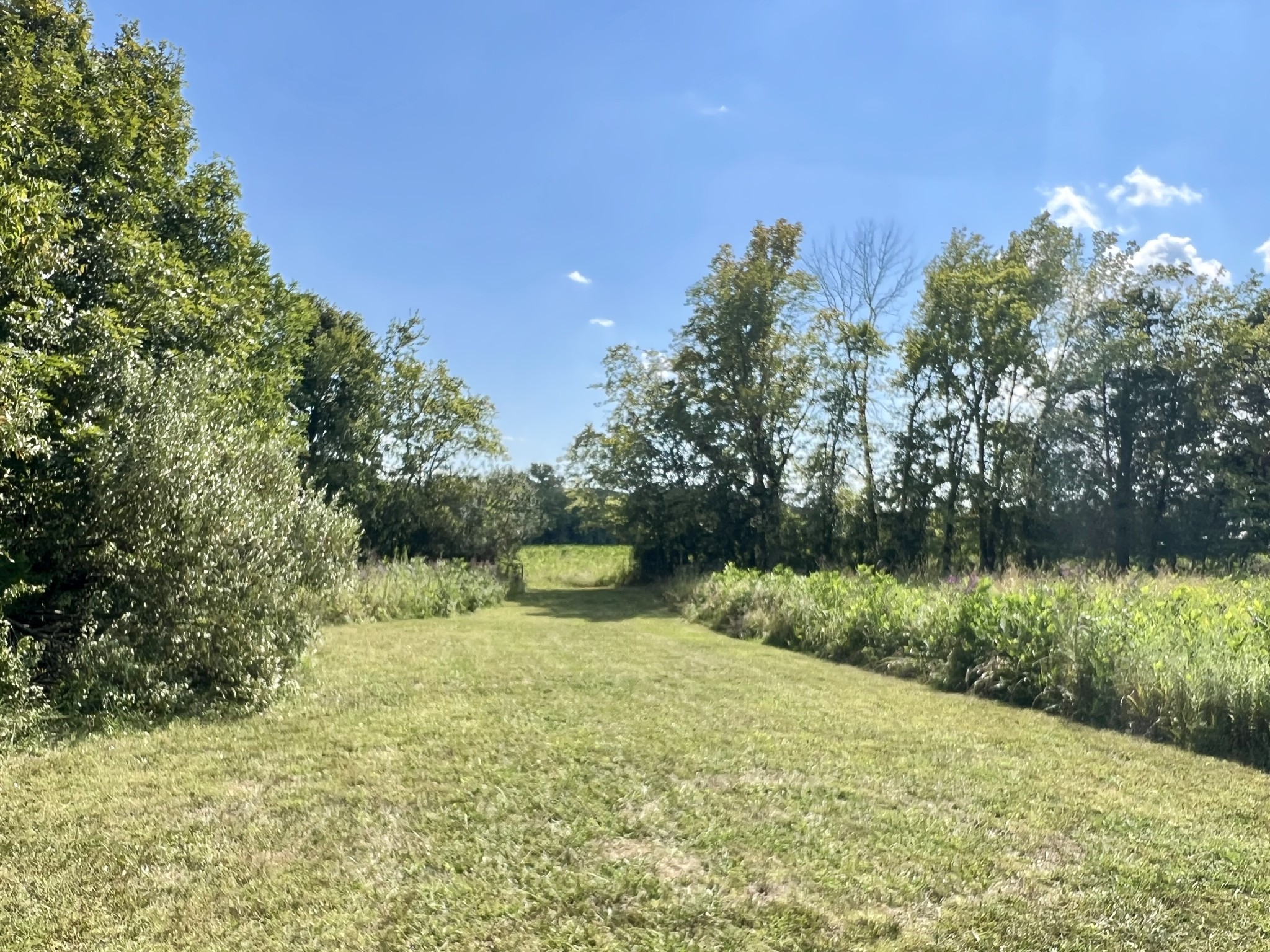 2081 Wilson Pike