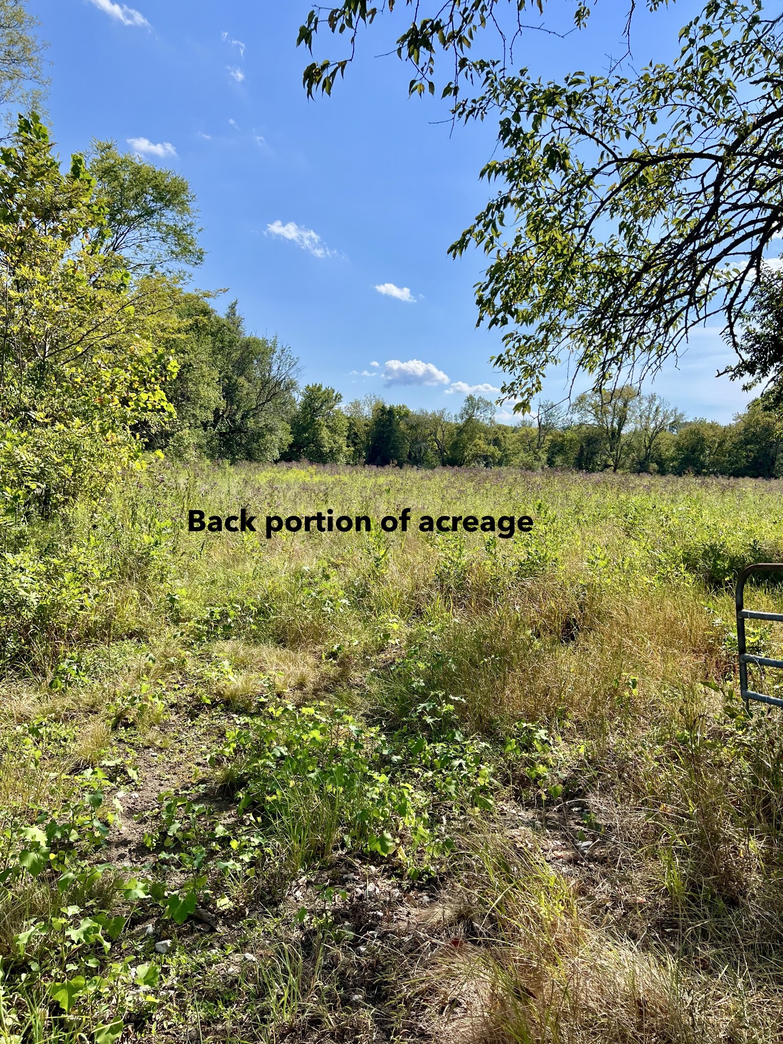 2081 Wilson Pike