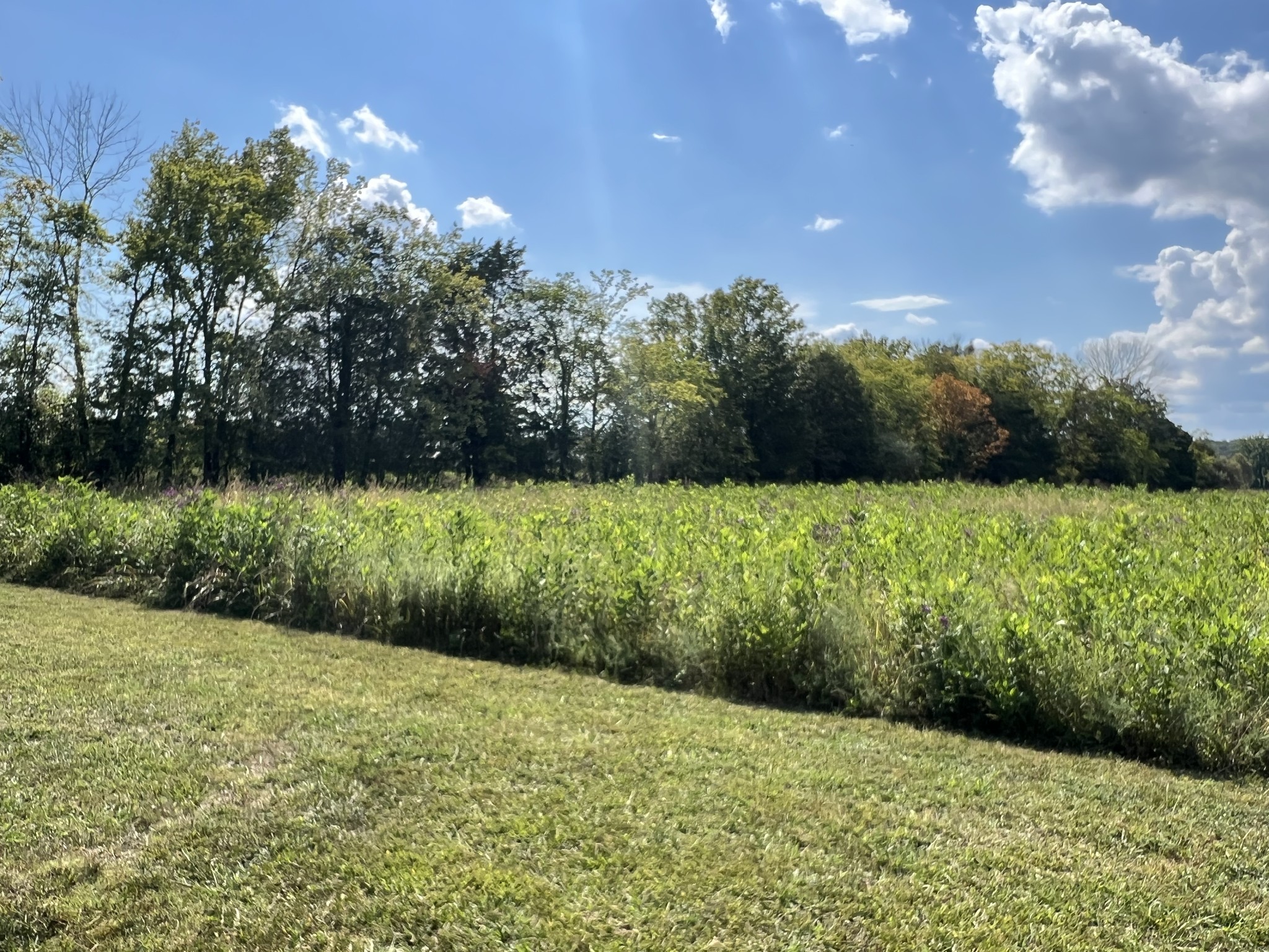 2081 Wilson Pike