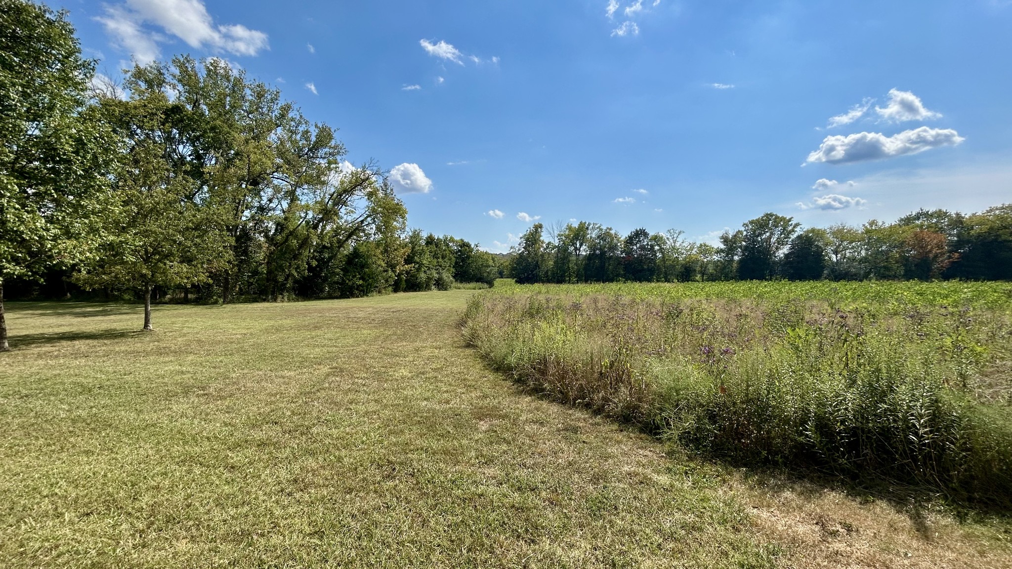 2085 Wilson Pike