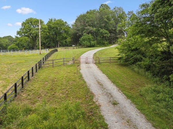 Gravel driveway curving uphill past a metal gate and fenced pasture, bordered by mature trees.
