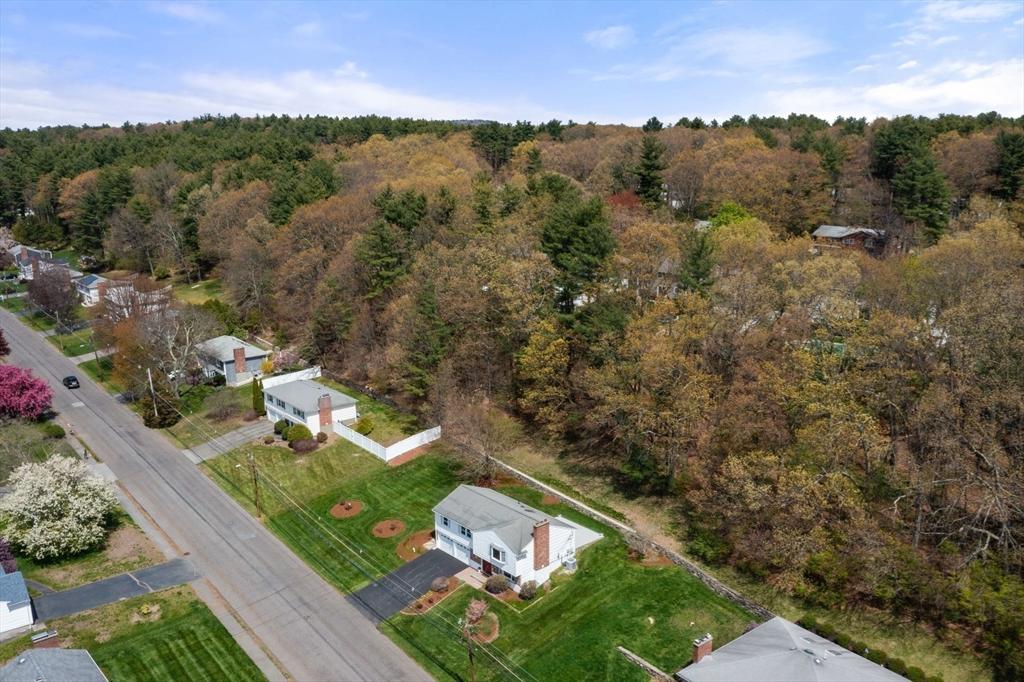 31 Lanewood Ave