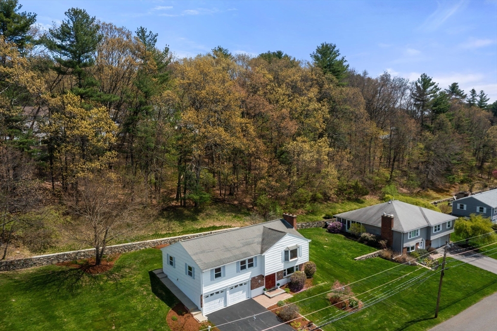 31 Lanewood Ave