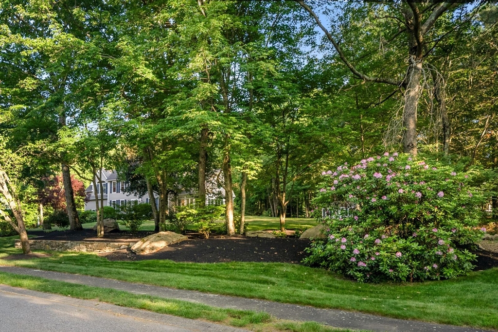 23 Longwood Dr
