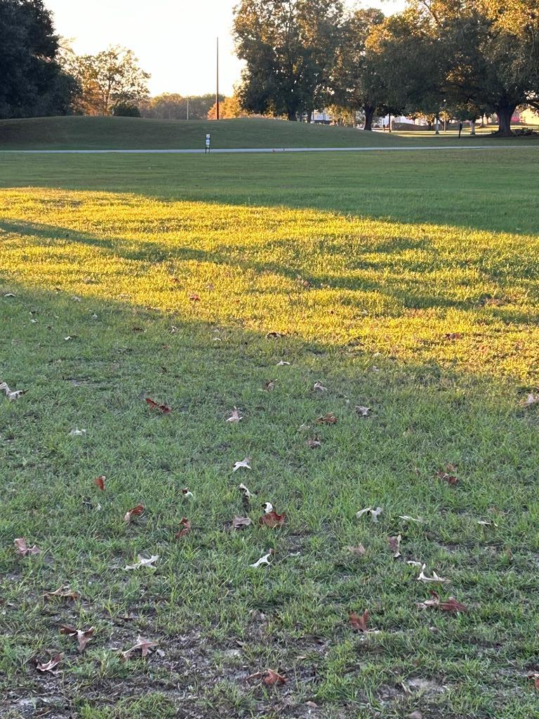 Lot 95 Lot 95 Country Club Of Alabama