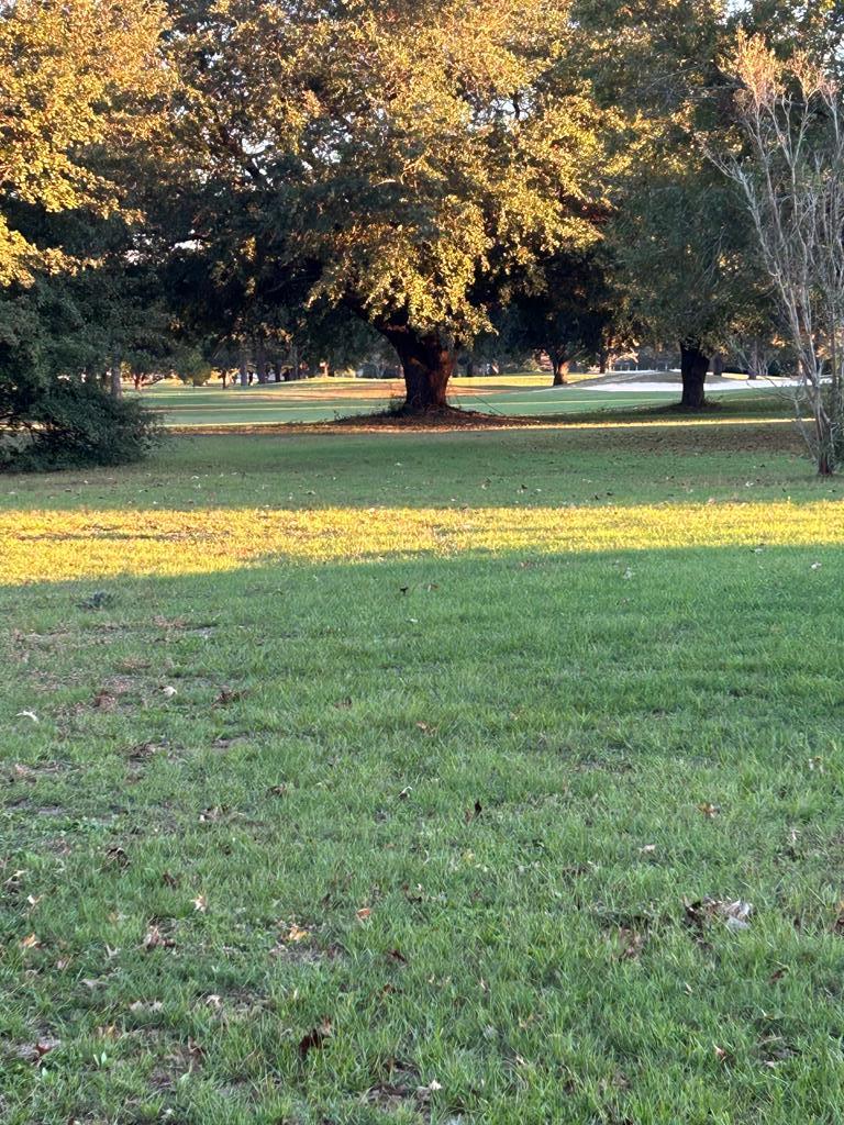 Lot 95 Lot 95 Country Club Of Alabama