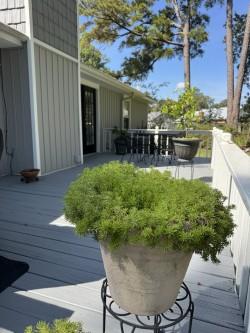 103 Julie Anne Court