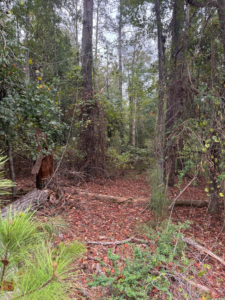 Lot 12 Sunrise Drive