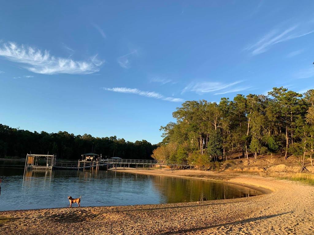 256 Moore Meadow Drive