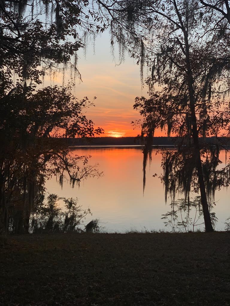 256 Moore Meadow Drive