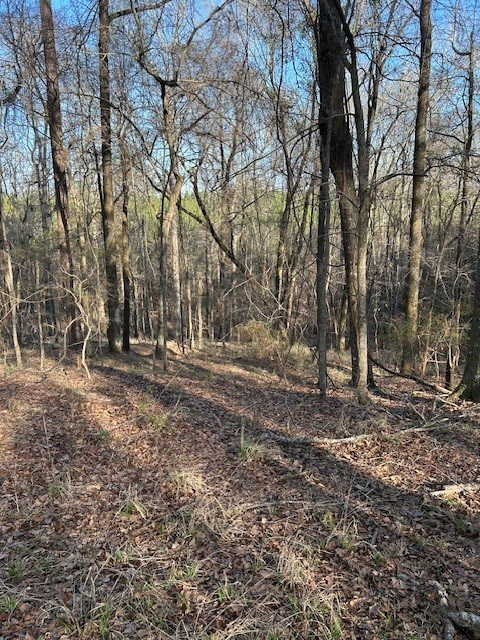 0 Hwy 82