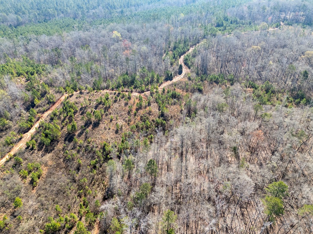 0 Hwy 82