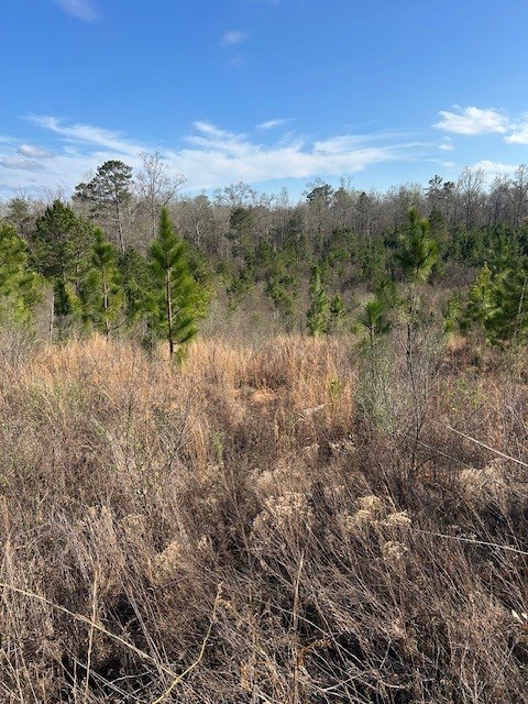 0 Hwy 82