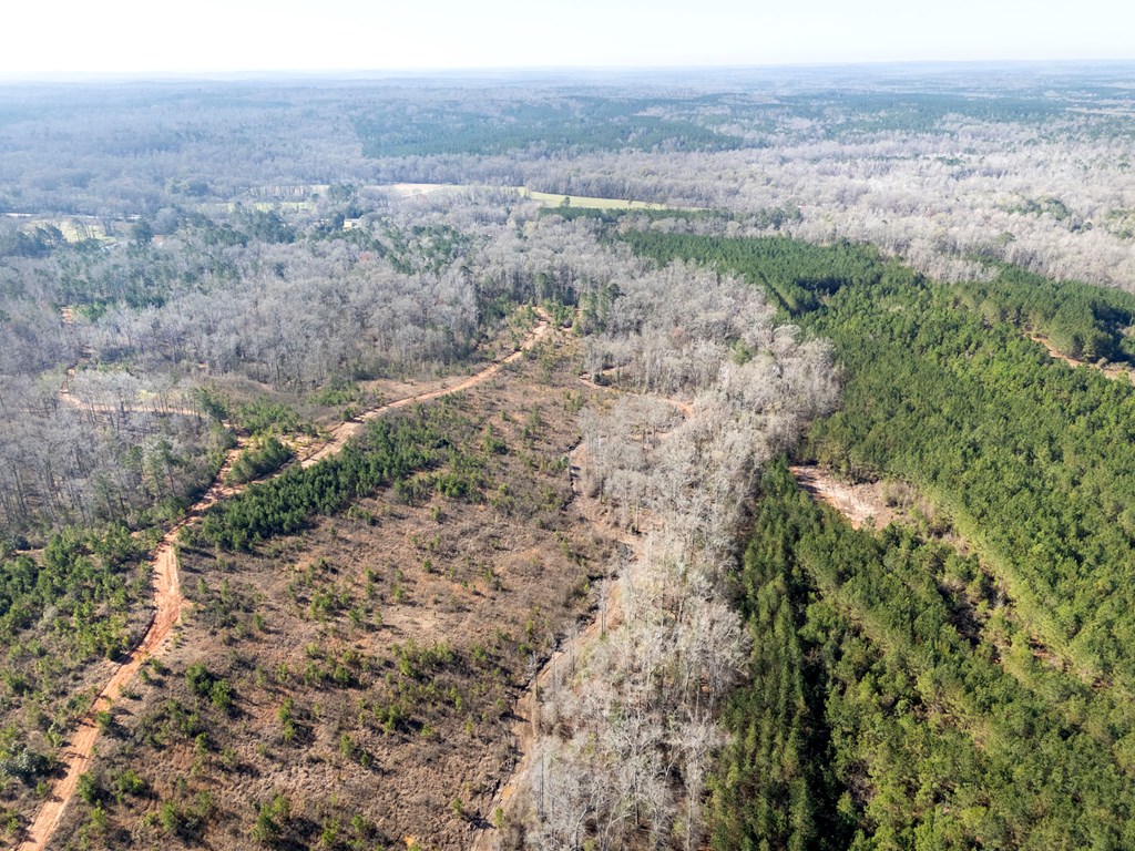 0 Hwy 82