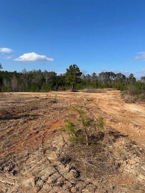 0 Hwy 82
