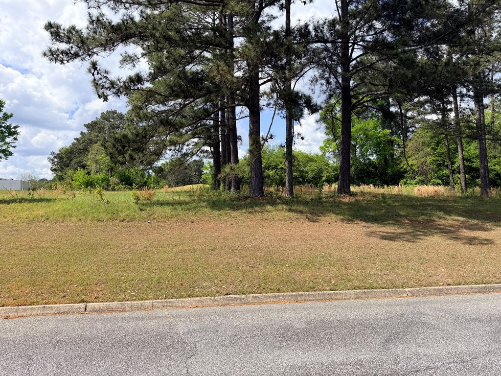 Lot #115 Pebble Beach Drive