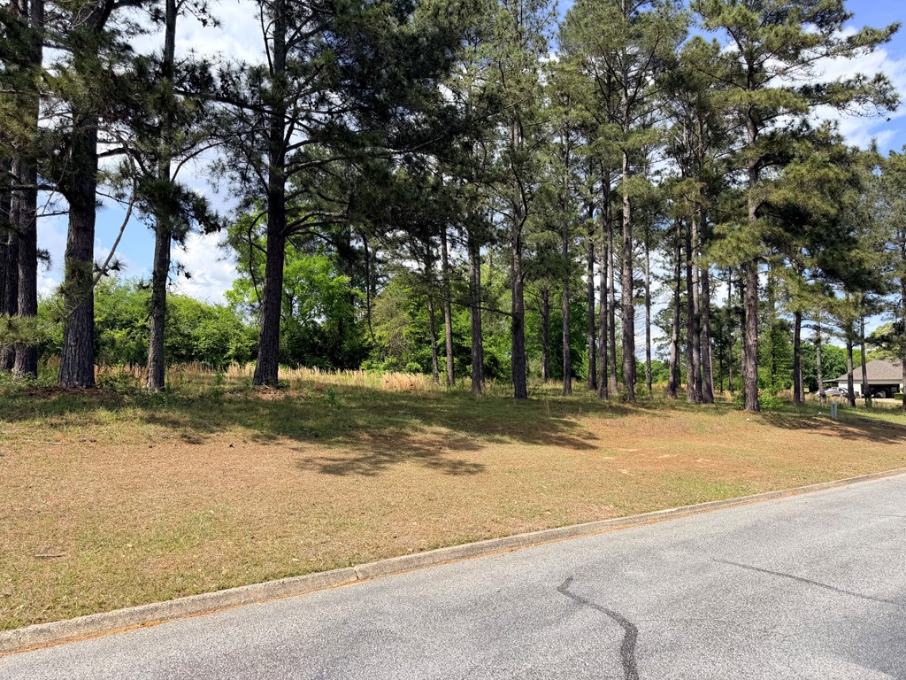 Lot #115 Pebble Beach Drive