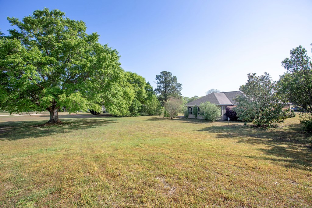 156 Canterbury Drive