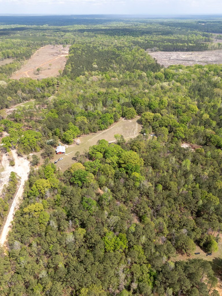 4337 Rutherford Road