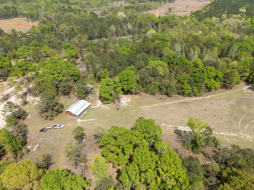 4337 Rutherford Road