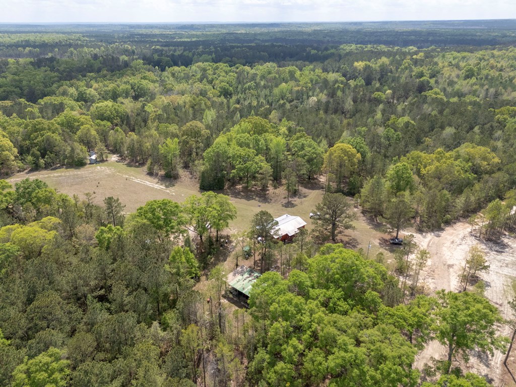 4337 Rutherford Road