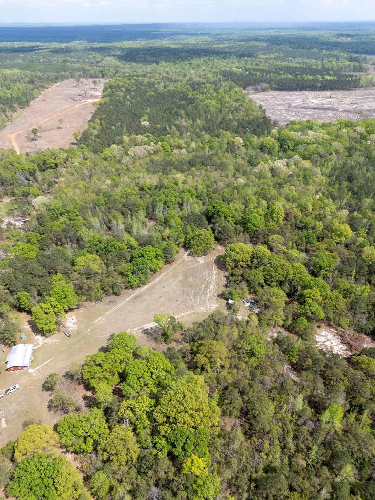 4337 Rutherford Road