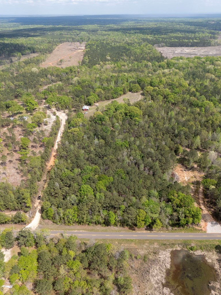 4337 Rutherford Road