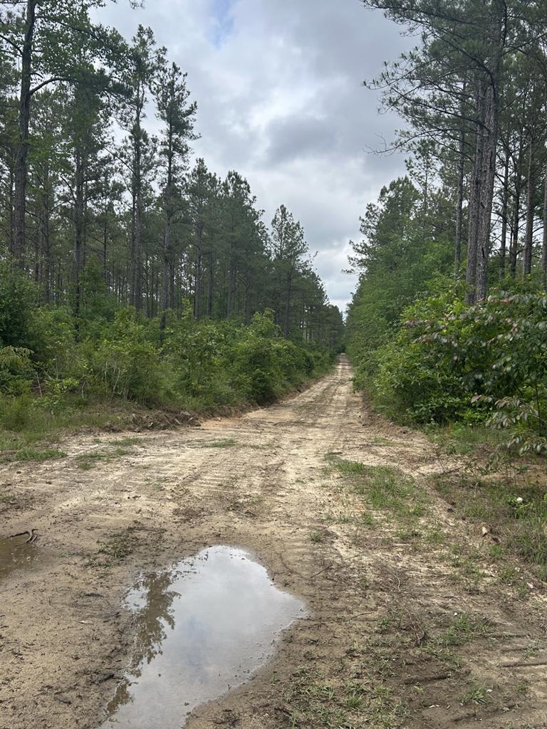 0 Hwy 131