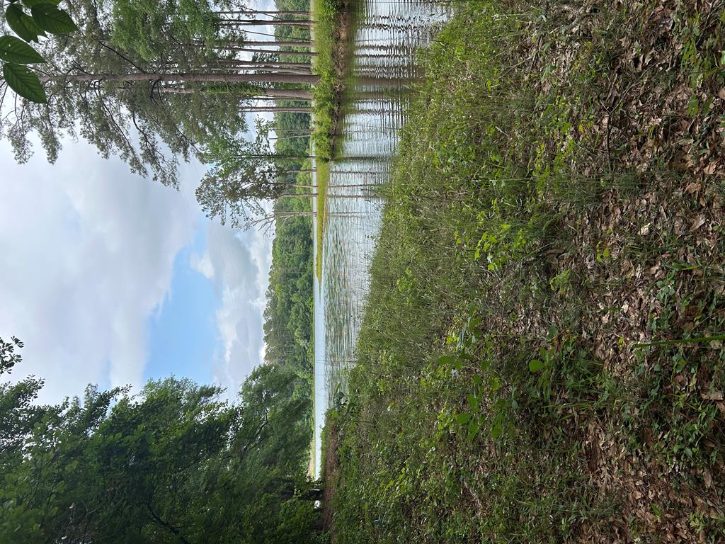0 Hwy 131