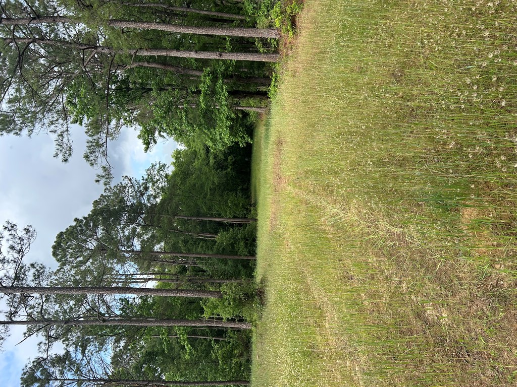 0 Hwy 131