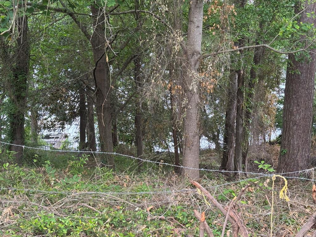 155 Scenic Drive