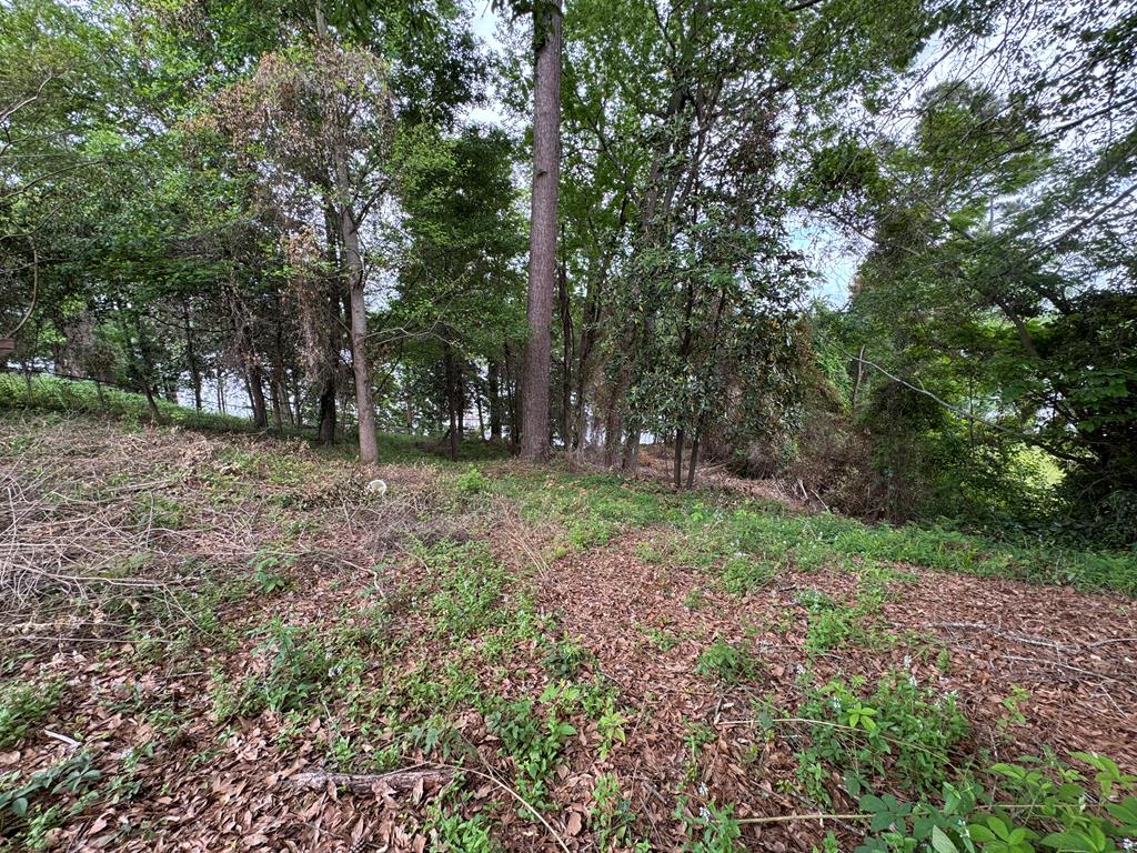 155 Scenic Drive