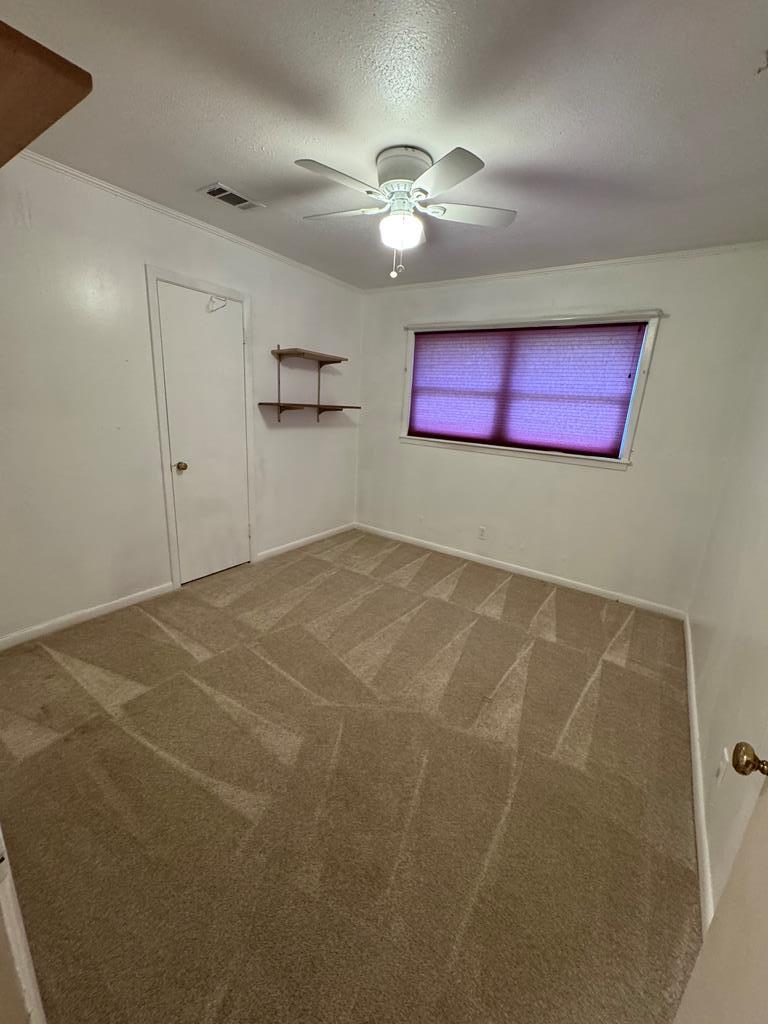 404 Bush Drive