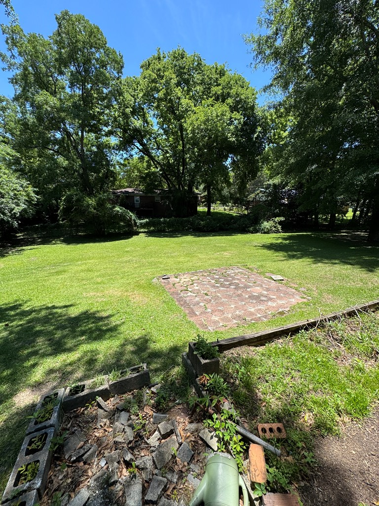 404 Bush Drive